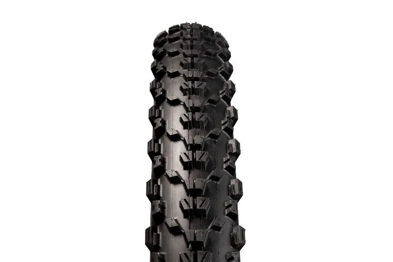 Llanta Maxxis Ardent 29x2.4 60TPI EXO/TR