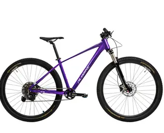 ALUBIKE MTB XTA 2.0 29" 11 V, PURPURA
