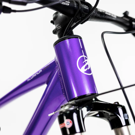 ALUBIKE MTB XTA 2.0 29" 11 V, PURPURA