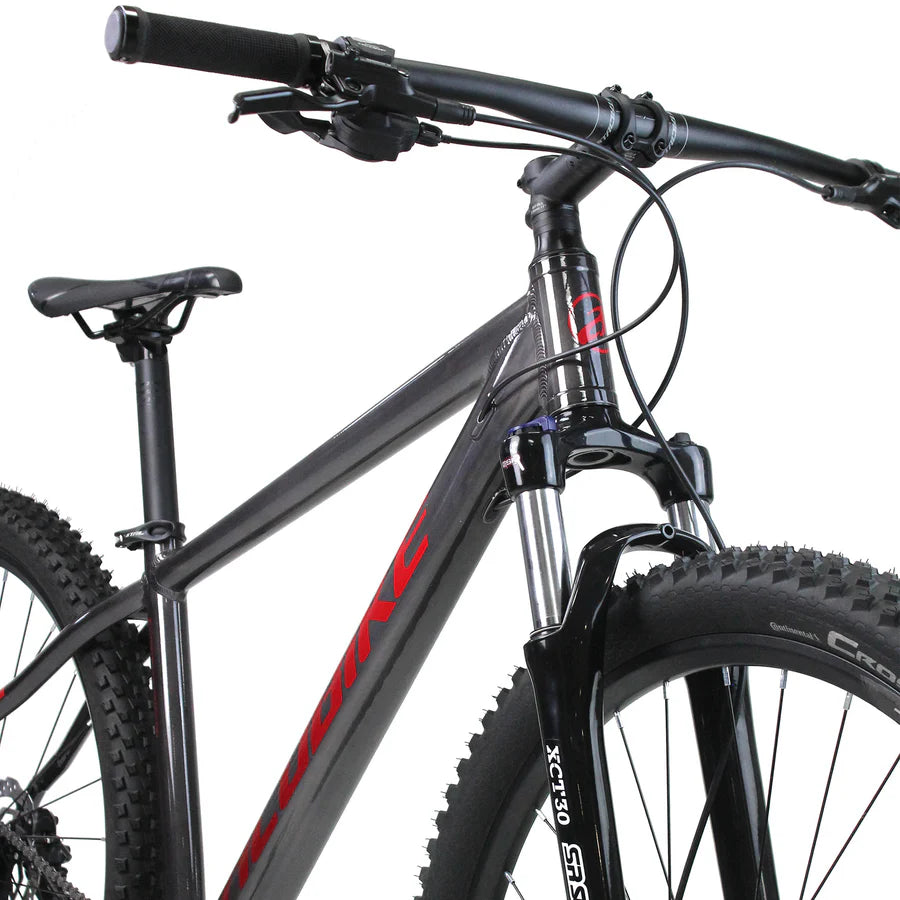 Bicicleta Alubike MTB Sierra Pro R29'