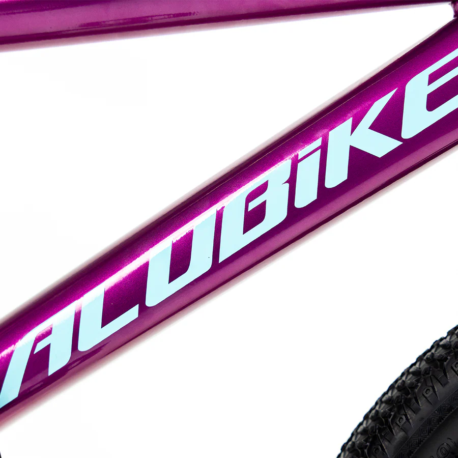 ALUBIKE MTB SIERRA 20"  1V