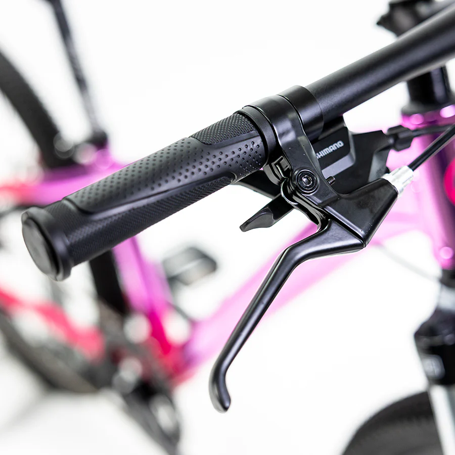 ALUBIKE MTB SIERRA 24" UNITALLA 8V