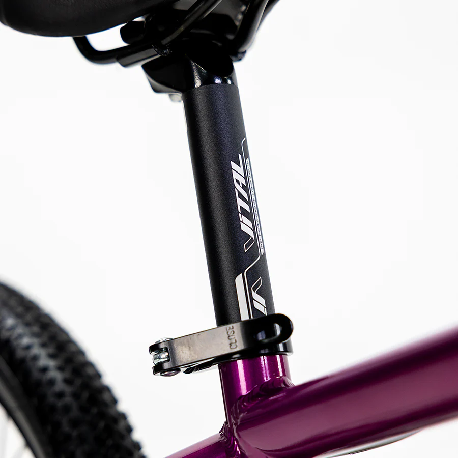 ALUBIKE MTB SIERRA 20"  1V