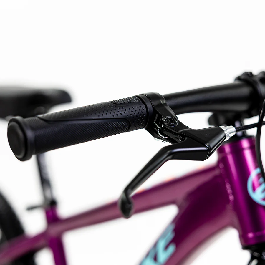 ALUBIKE MTB SIERRA 20"  1V