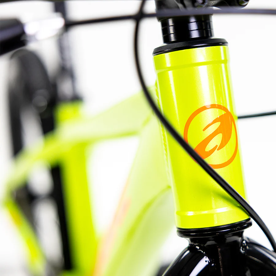 ALUBIKE MTB SIERRA 20"  1V