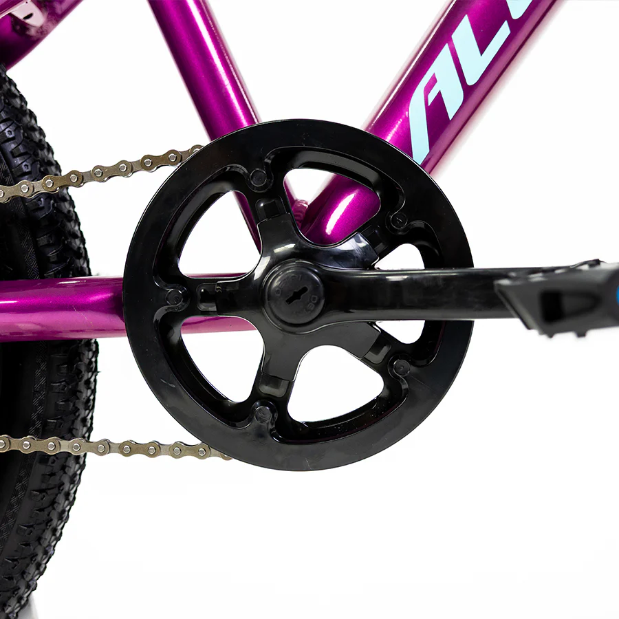 ALUBIKE MTB SIERRA 20"  1V