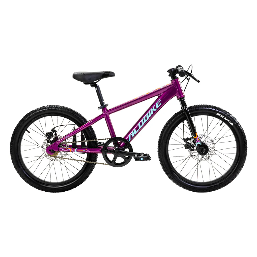 ALUBIKE MTB SIERRA 20"  1V