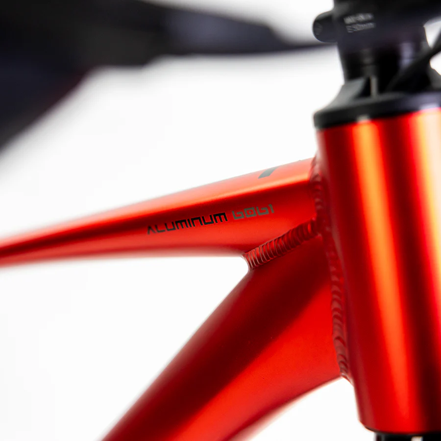 ALUBIKE MTB XTA 1.0 29" 10V ROJA